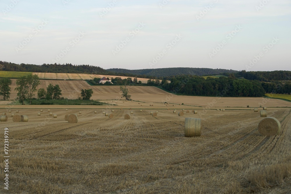 Scenic view of a grassy open field with several round bales of hay