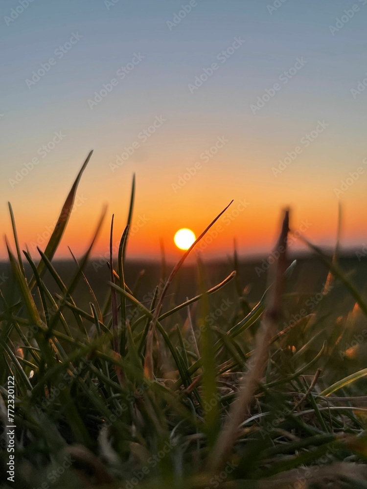 Breathtaking scene of a sun setting over a lush, green field of grass