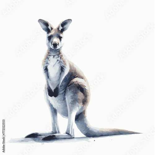 watercolor kangaroo art and wildlife painting