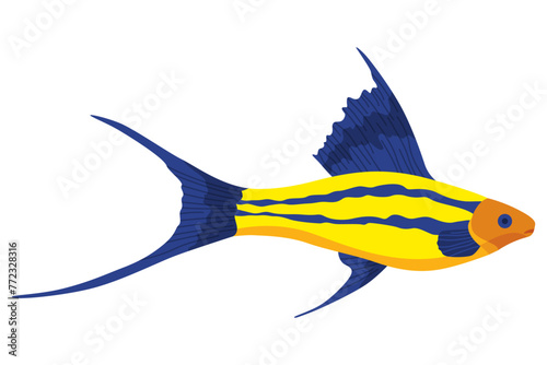 Aquarium fish. Beautiful underwater character. Decorative colored freshwater fish in flat cartoon design. Vector illustration, isolated animal on white