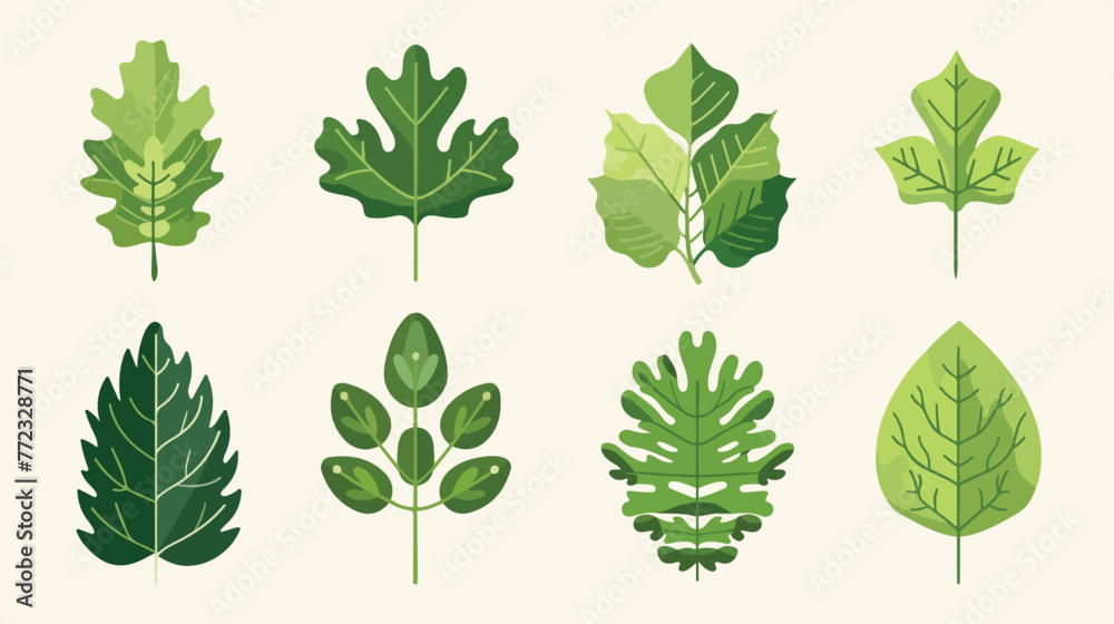 Leaf icons vector design leaves green concept illustration - obrazy, fototapety, plakaty 