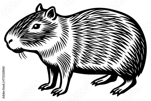 capybara-vector-illustration