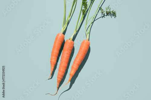Zanahorias frescas  en un plato gris sobre fondo verde. Vista superior	 photo