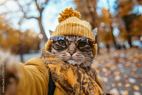 A cat in autumn clothes and glasses takes a selfie in Paris
 photo