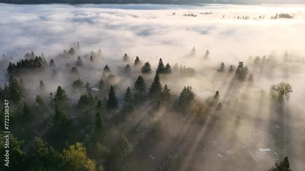 Early morning sunlight illuminates fog that has settled in the Willamette Valley in northern Oregon, not far south of Portland. The entire Pacific Northwest is known for its moist, temperate climate.