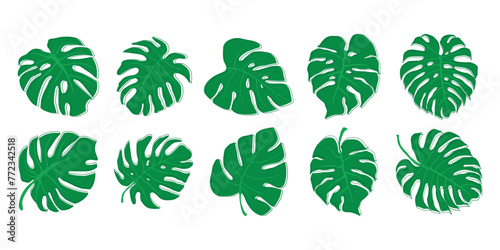 Aesthetic Tropical Leaf Set