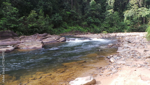 river in the forest sungai lembing Pahang Malaysia photo
