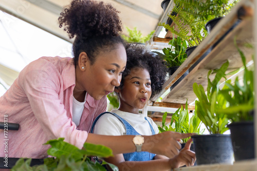 African mother and daughter is choosing tropical fern and ornamental plants from the local garden center nursery during summer for weekend gardening and outdoor photo