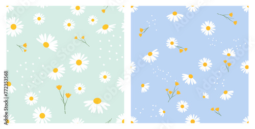 Seamless pattern with daisies and yellow flower on green and blue backgrounds vector.