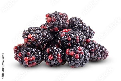 fresh blackberries. Isolated on transparent png © sommai