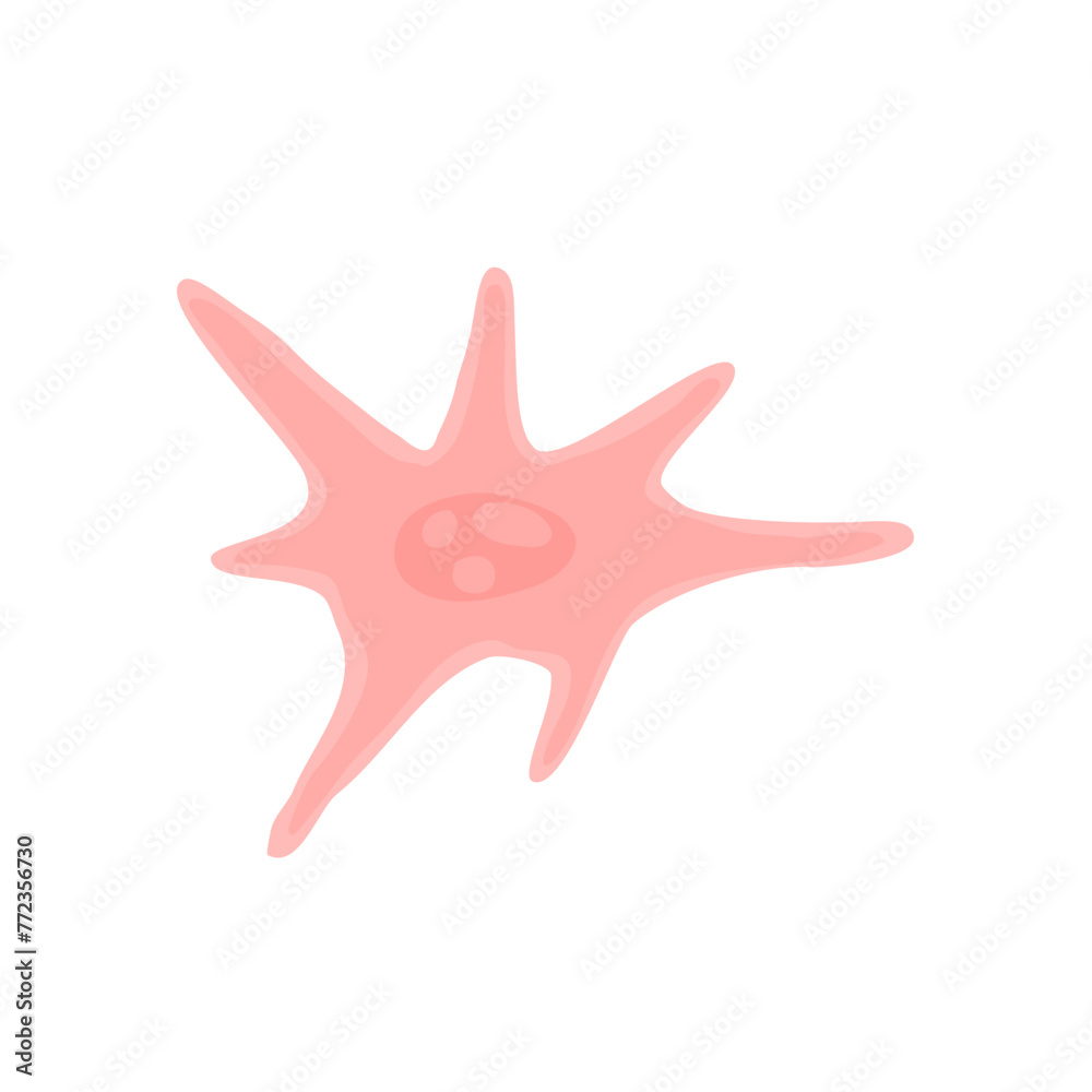 Human Fibroblast Cell Vektor Illustration Human Fibroblast Cell Vektor Illustration