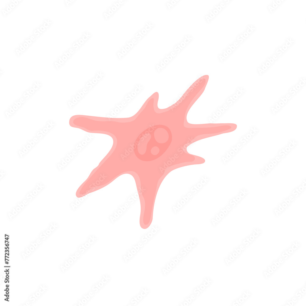 Human Fibroblast Cell Vektor Illustration Human Fibroblast Cell Vektor Illustration