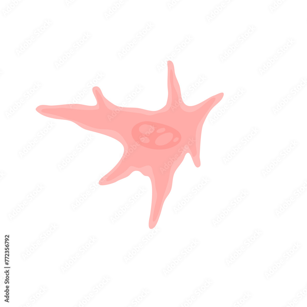 Human Fibroblast Cell Vektor Illustration Human Fibroblast Cell Vektor Illustration