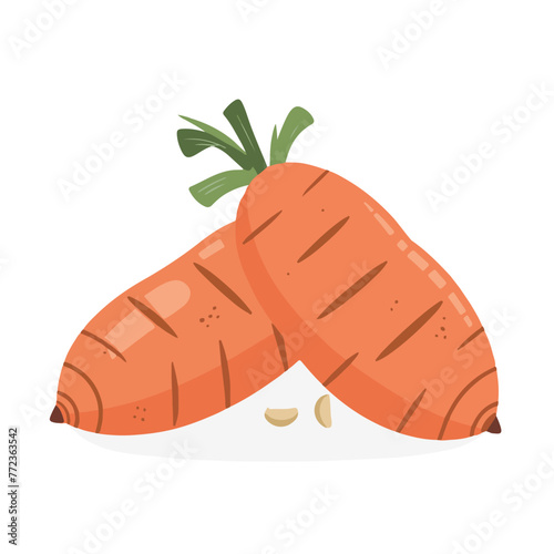 Sweet Potatoes vector illustration