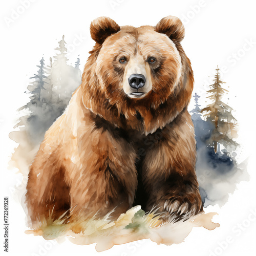 watercolor of a bear