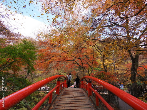Wallpaper Mural 群馬県渋川市伊香保にある河鹿橋の紅葉 Torontodigital.ca