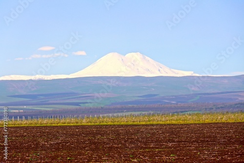 Mount Elbrus on the background of apple orchards