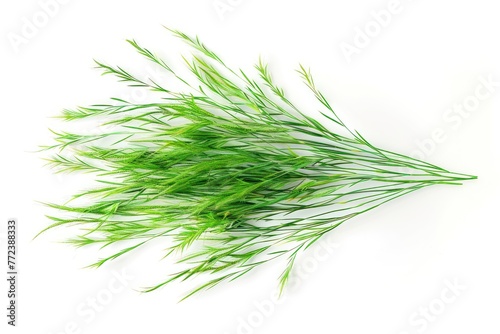 Bunches of green grass isolated on white background