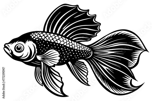black and white fish