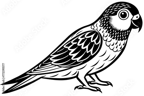 sketch of a bird