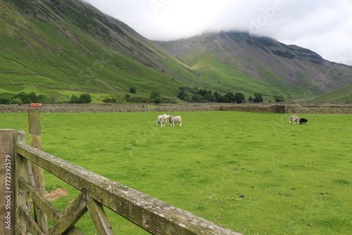 Wasdale Head in the Lake district photo