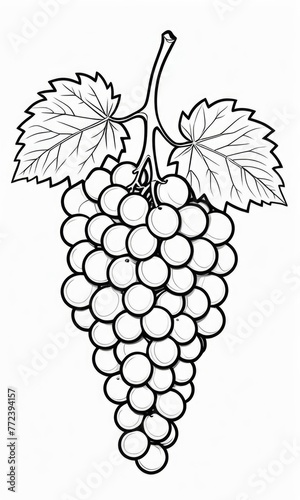 Grape isolated coloring page line art for kids 