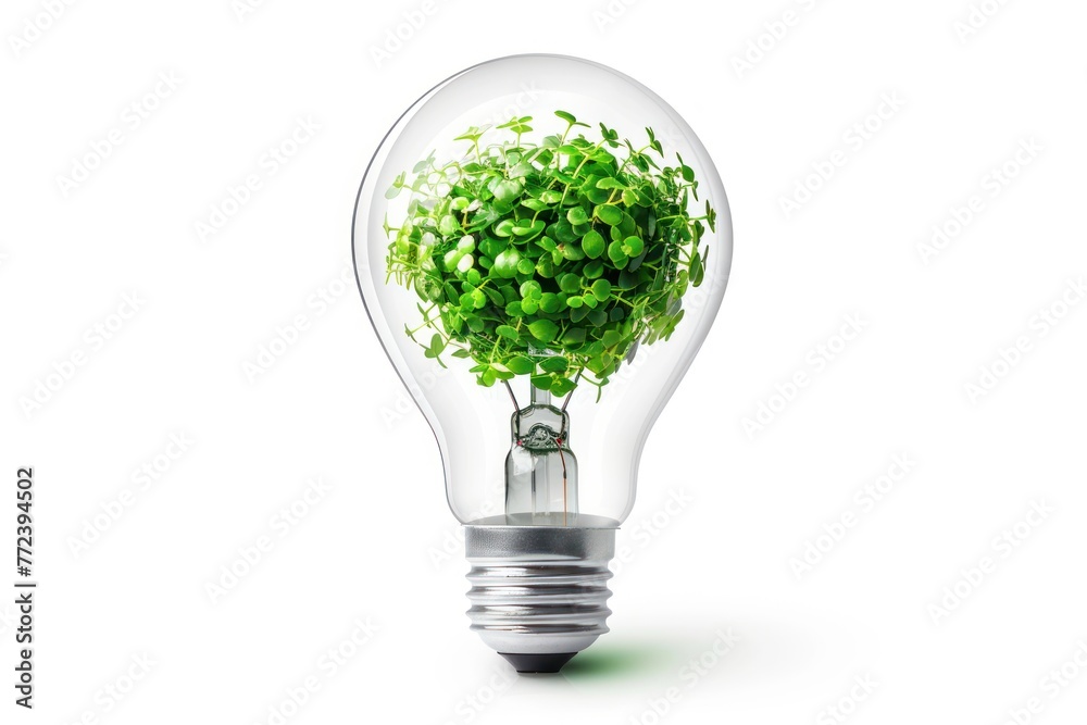 Light bulb with green vegetation inside isolated on white background. Green renewable energy or recycling theme Light bulb with green vegetation inside isolated on white background. Green renewable energy or recycling theme