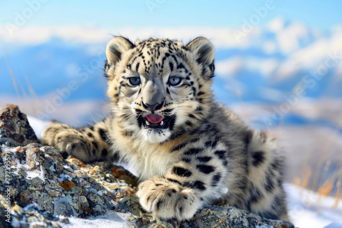 A playful snow leopard cub with a mischievous grin and big  blue eyes