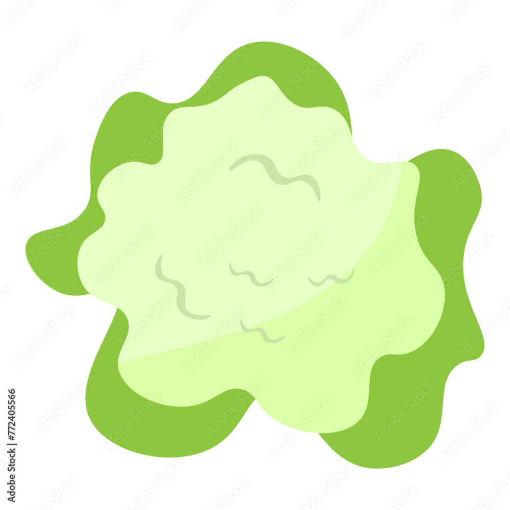illustration of a cauliflower illustration of a cauliflower