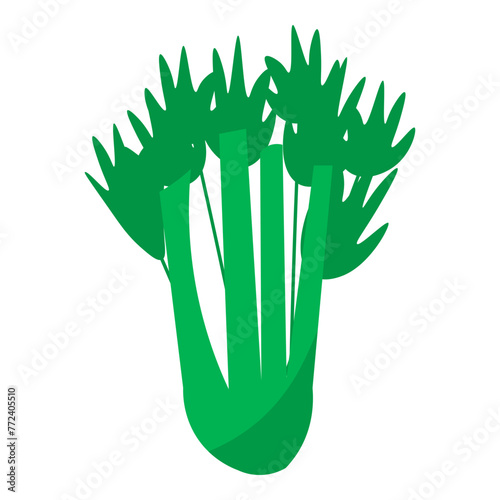 bunch of green grass celery