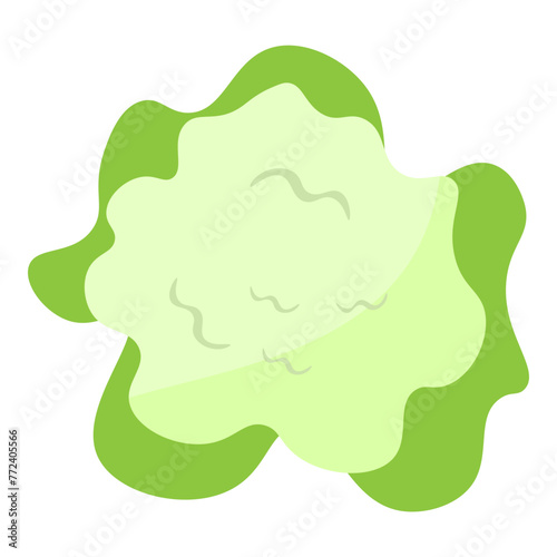 illustration of a cauliflower
