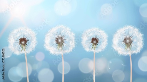  A field of dandelions swaying in the breeze on a blue canvas with a soft halo of light surrounding them