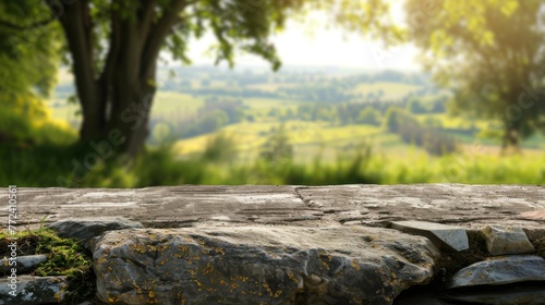 Stone table top with copy space. Countryside background © Jane Kelly