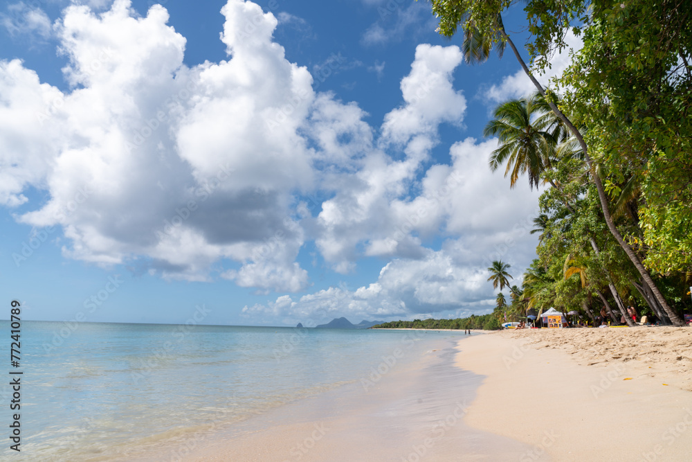 Paysage Tropical en Martinique - Plages des Salines