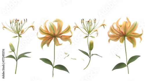 Gloriosa Lily Digital Art in 3D: Vibrant and Colorful Flower Illustration with Transparent Background for Summer Garden Designs © Spear