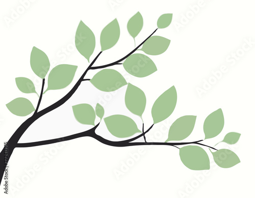 Branch with leaves Isolated on a white background. Flat style with line. Minimal flora design. Vector illustration