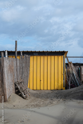 giallo sabbia @ la playa, maccarese photo