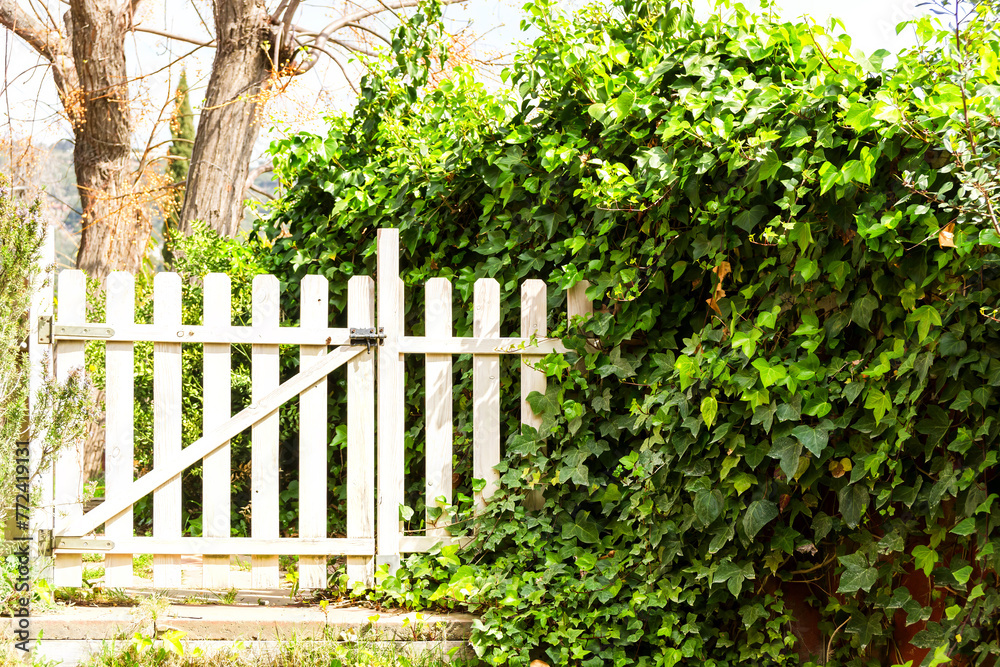 A white wooden fence surrounded by lush vegetation in the countryside. A white wooden fence surrounded by lush vegetation in the countryside.