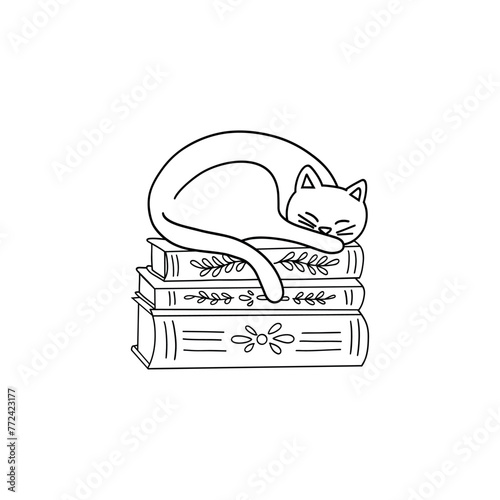 Vector illustration of a cat sleeping on books