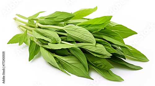 Fresh Herbal Plant Andrographis Paniculata Leaves Generate AI