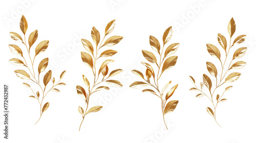 Golden linear floral leaves isolated on a transparent background - premium quality 3D digital art with an elegant botanical design element.
