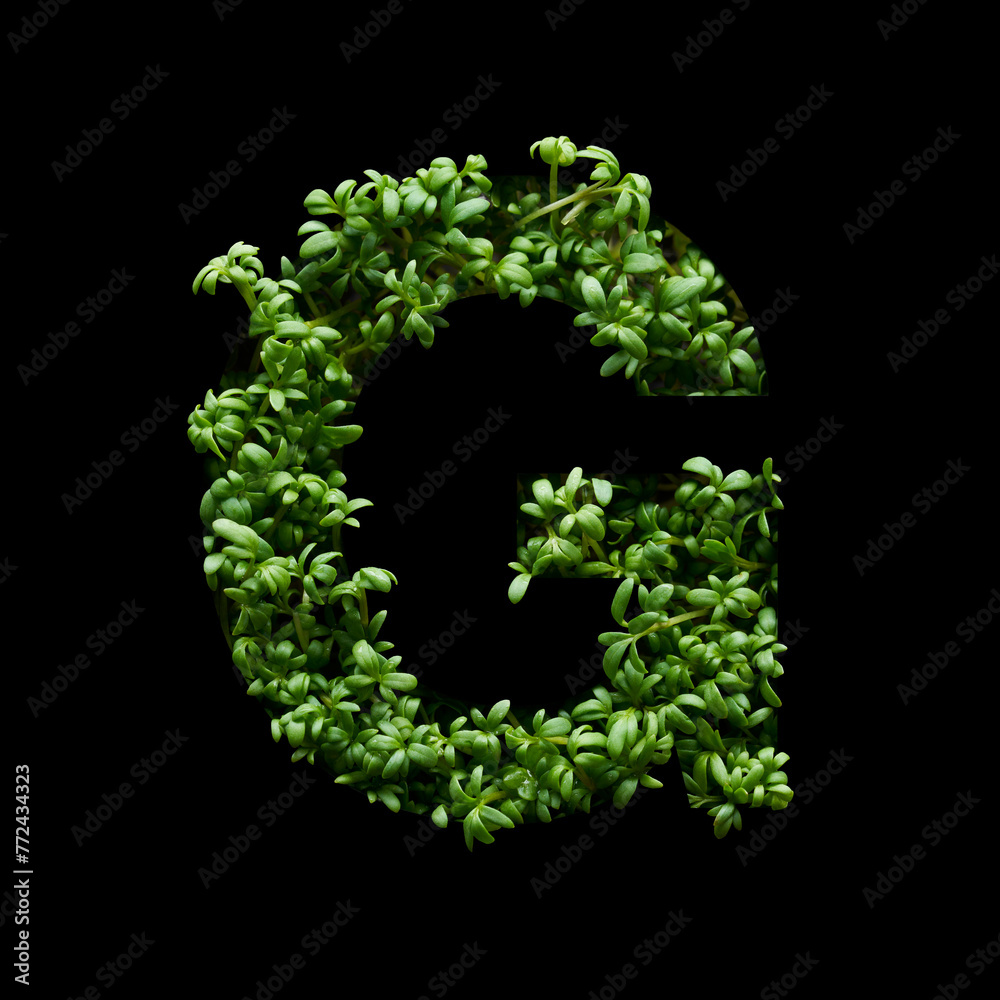 Capital letter G is created from young green arugula sprouts on a black background.