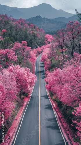 Rural Highway in Bloo, road adventure, path to discovery, holliday trip, Aerial view photo