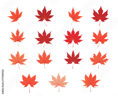 Red maple leaves on a white background vector illustration