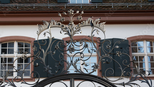 Entrance gate with stylized plants as decoration © djenev