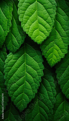  Green Leaves Pattern Natural Lush Foliages of Leaf , Generate AI