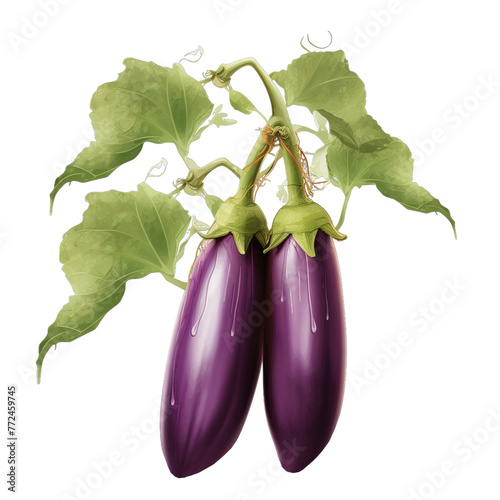 illustration of Brinjal, Isolated on transparent PNG background, Generative ai