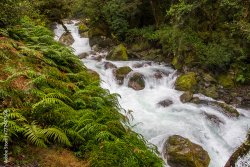 Photograph of a fast flowing river in a small valley surrounded by lush foliage in Fiordland National Park on the South Island of New Zealand