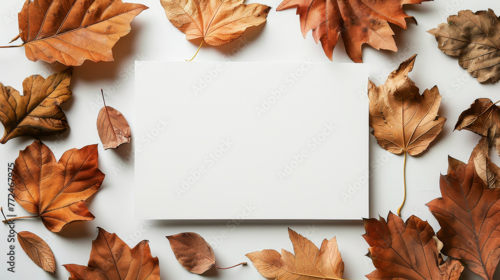 flat lay with orange leaves and white postcard with copy space flat lay with orange leaves and white postcard with copy space