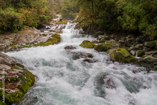 Photograph of a fast flowing river in a small valley surrounded by lush foliage in Fiordland National Park on the South Island of New Zealand